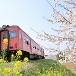 いすみ鉄道の歴史たどる　県営人車軌道線、国鉄木原線、第三セクター　早期復旧願いパネル展